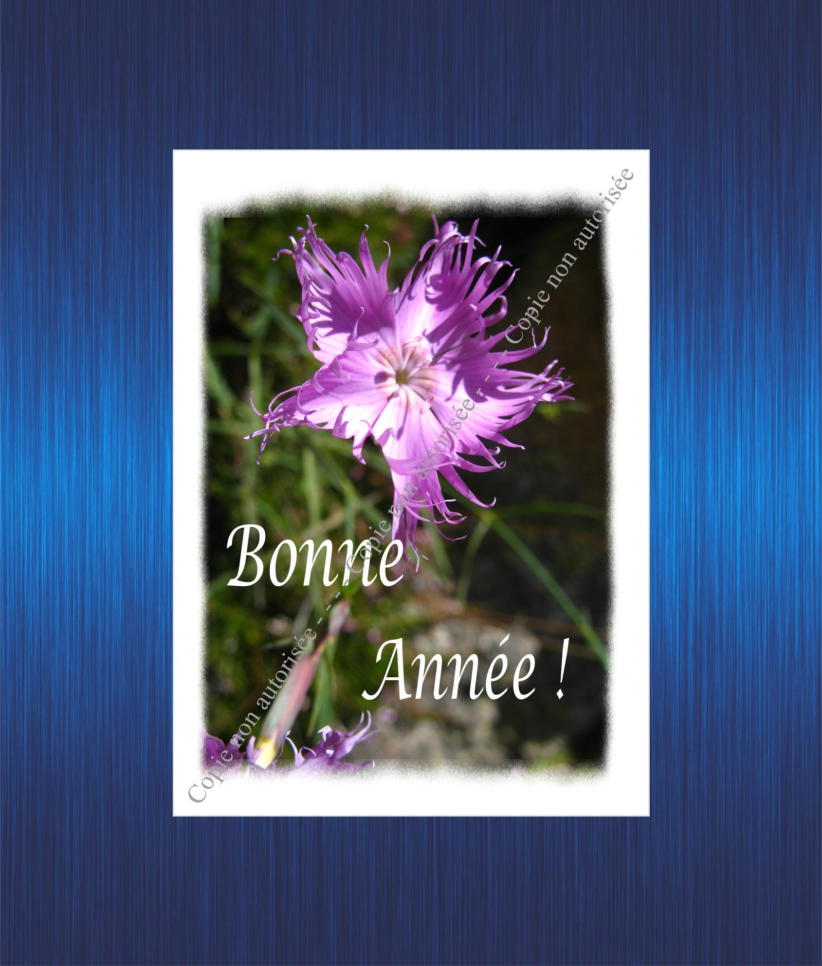 Bonne Année
