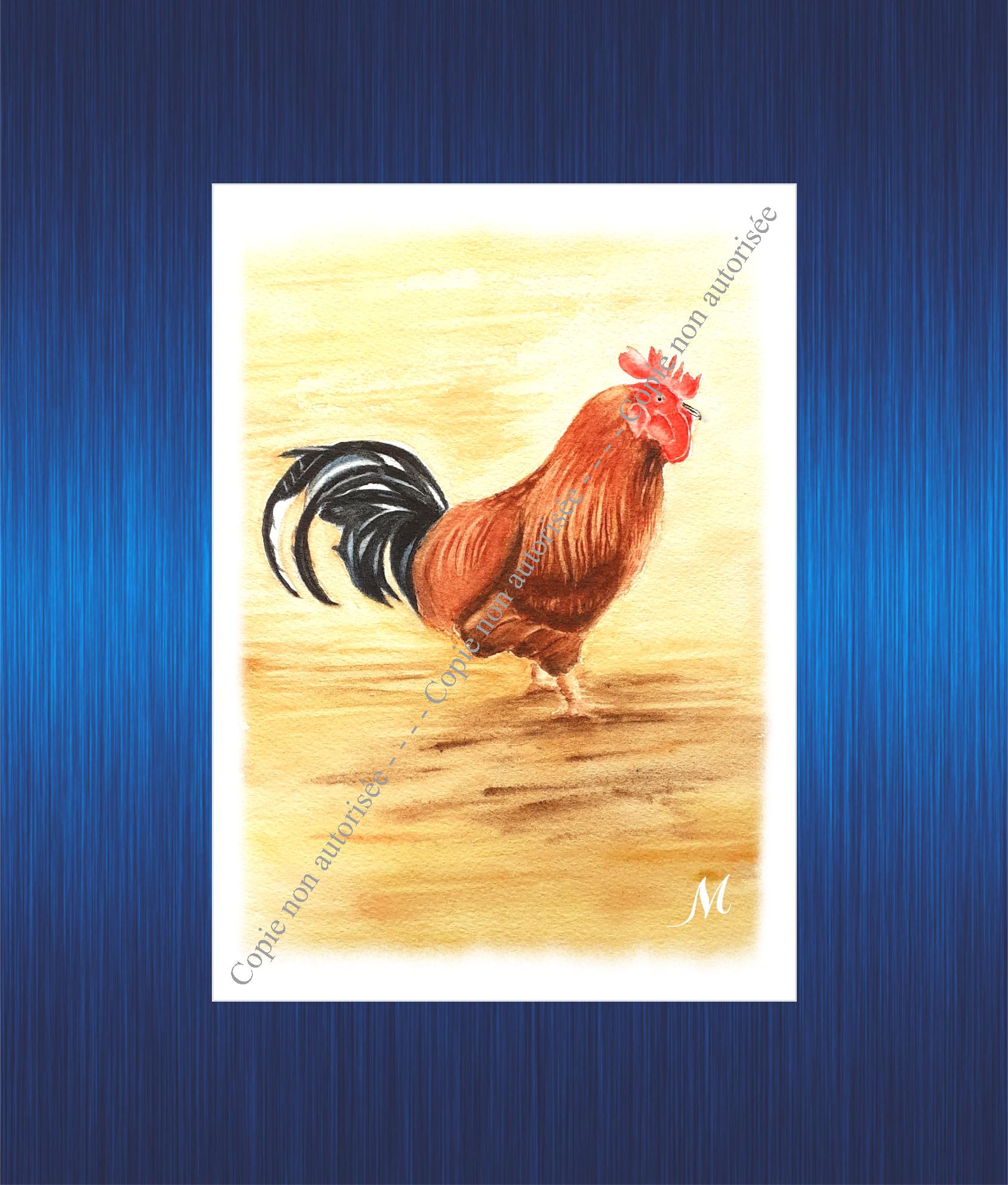 Coq