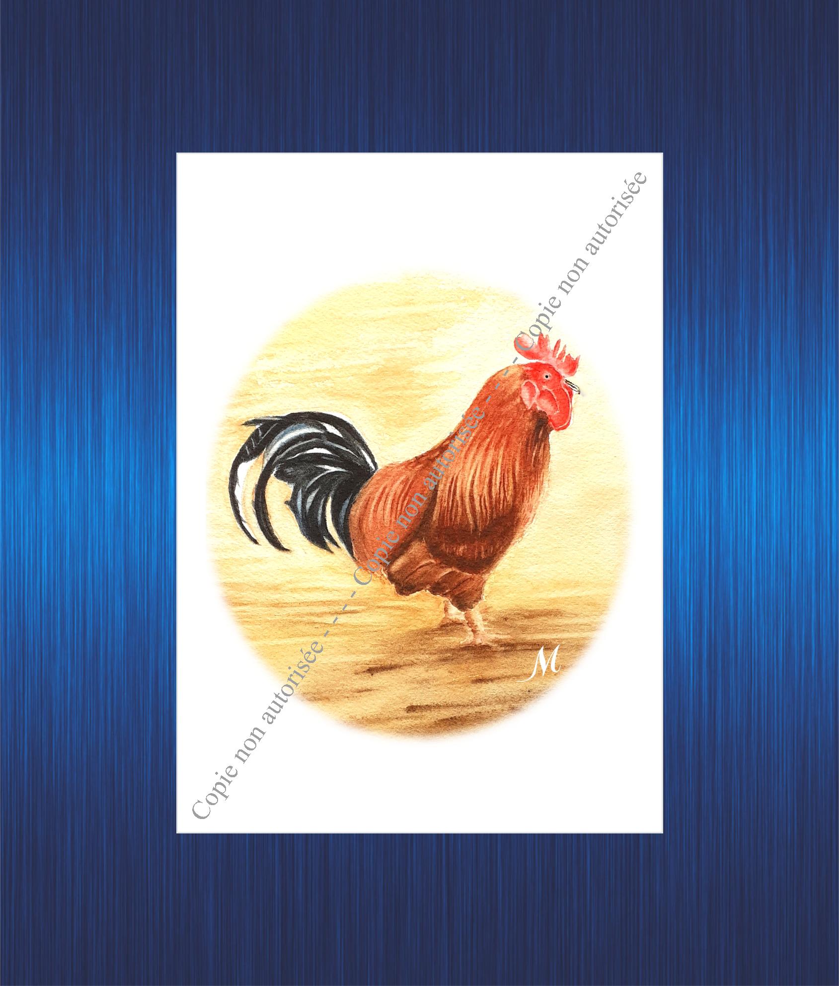 Coq en oval