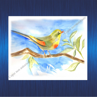 154m-aquarelle-oiseau-sur-sa-branche-pour-site-2023-63b2ccd25a9aa080107296.jpg