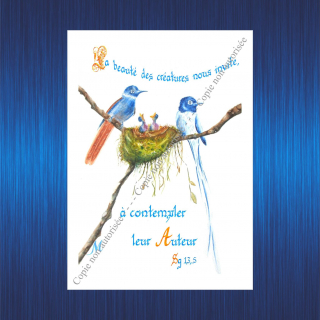 158-la-beaute-pour-site-2023-63baf01ad434c578768336.jpg