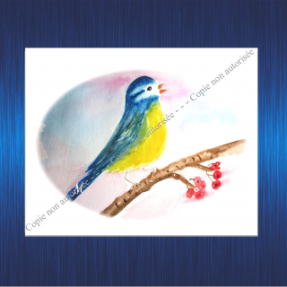 168m-aquarelle-mesange-pour-site-2023-63b2d25917e72899901840.jpg