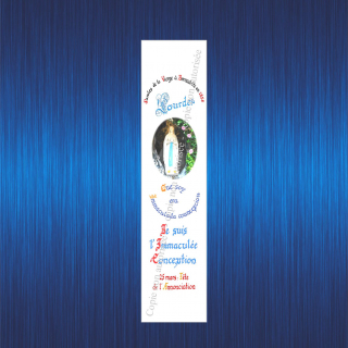 37bs-je-suis-l-immaculee-pour-site-2023-63bc5e2597778233532975.jpg