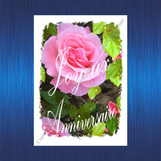 68-joyeux-anniversaire-rose-rose-pour-site-2023-63b6dfab6a6cd169311910.jpg