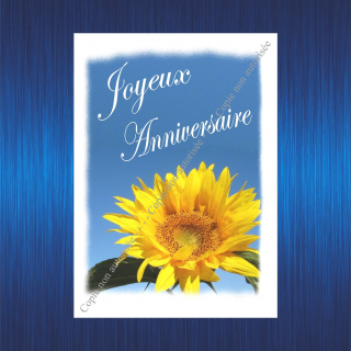 69-joyeux-anniversaire-tournesol-pour-site-2023-63b6dfca19318675809452.jpg