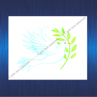 6m-aquarelle-colombe-pour-site-2023-63b2d022928ce776541767.jpg